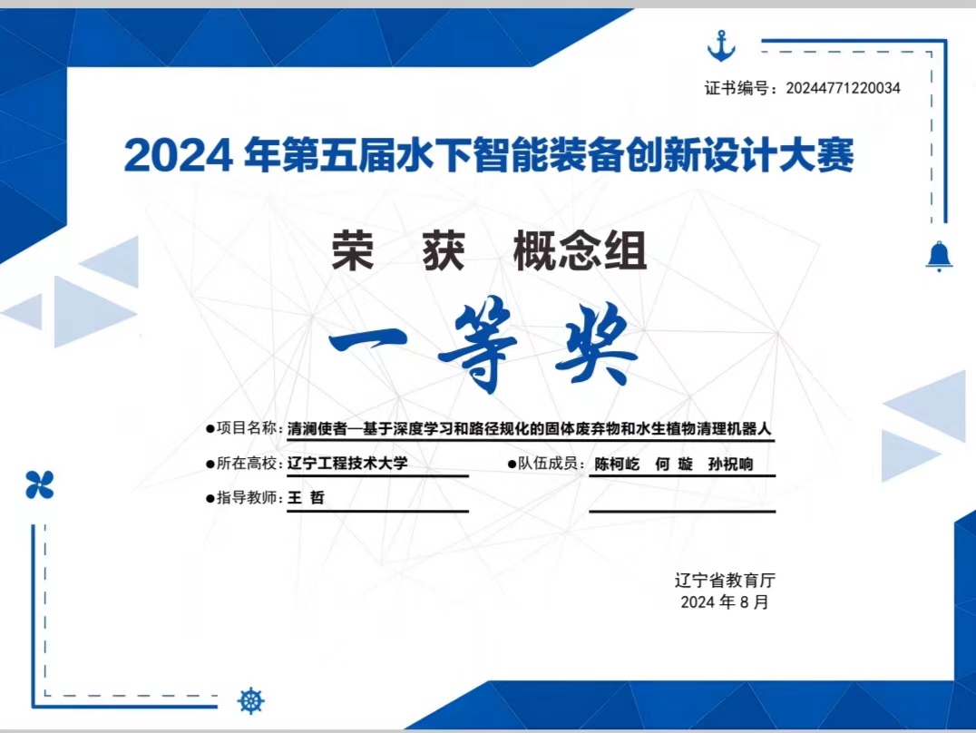 省级一等奖奖状